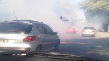 Los parques, el blanco más atacado por los fumigadores.