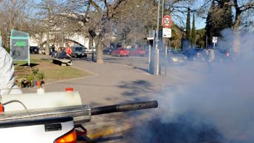 El operativo municipal para matar mosquitos.