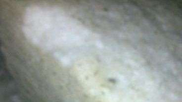 Feroz granizada, San Lorenzo