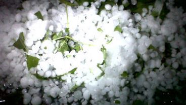 Feroz granizada, Granadero Baigorria