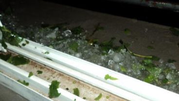 Feroz granizada, Roldán