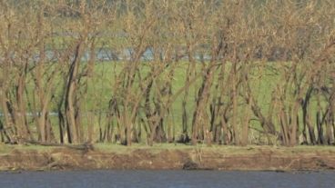 "Esto ocurrió como consecuencia del granizo de la noche del domingo”, comenó Leo