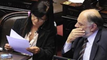 Diana Conti, espada del oficialismo en el tema reforma judicial.