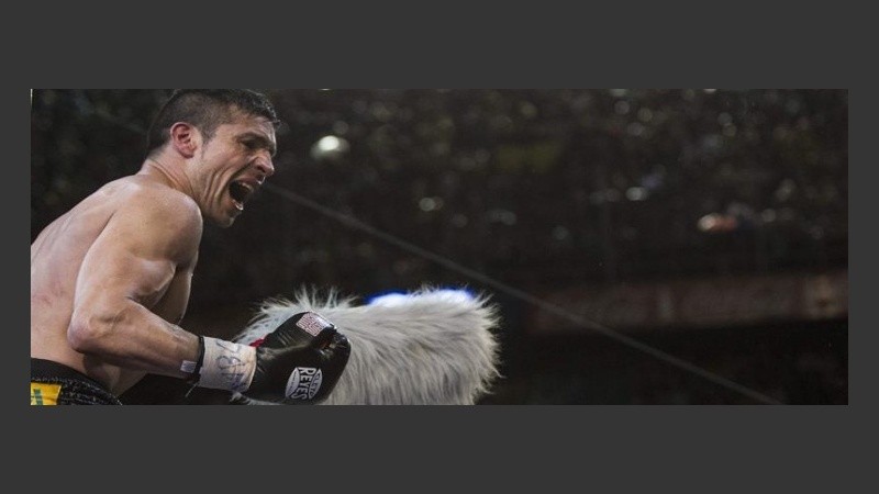 El desahogo del campeón.