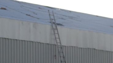 El hecho ocurrió en un predio de Battle y Ordoñez al 3700.