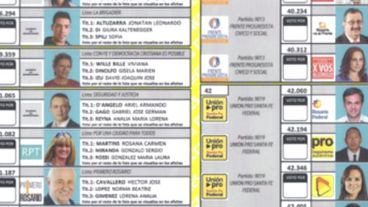 Parte de la boleta única, cona 14 frentes, en cinco hubo internas.