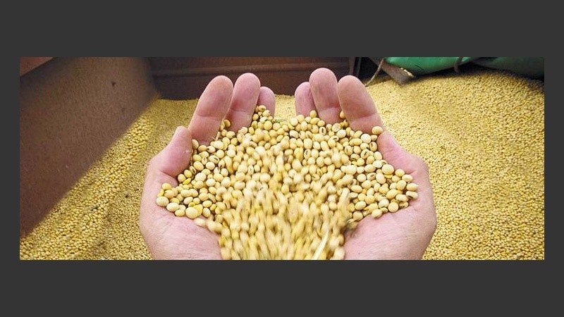 Se encuentra abierta la inscripción en la Escuela de Recibidores de Granos de Rosario.