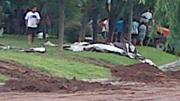 En muchas zonas de Bell Ville el agua salió de su cauce.