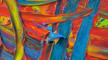 Lazos de Origen es un programa del Ministerio de Innovación y Cultura de la Provincia.