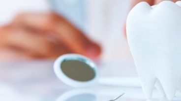 Desde el 1º hasta el 30 de noviembre de este año se podrá solicitar turnos para la inscripción.