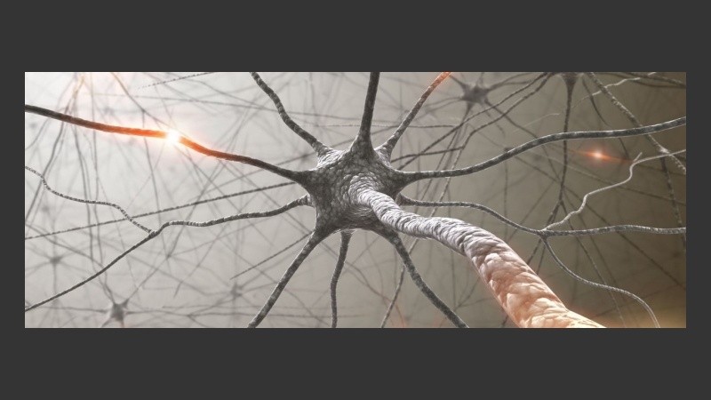 Se cursará los jueves y viernes de 9 a 17 y los sábados de 9 a 13.