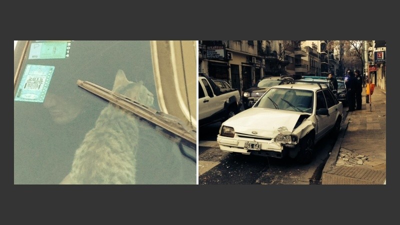 Pity y su gato Sigfrido de camino a la comisaría.