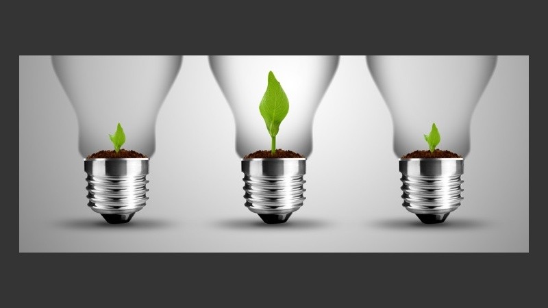 El programa educativo fue denominado “Cuenca Flores: promoviendo conciencia ambiental ciudadana”