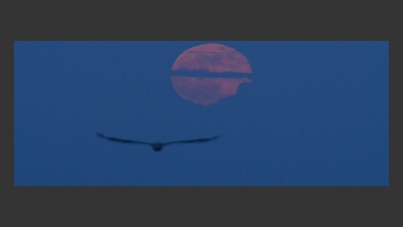 Vista de la Superluna desde el malecón en Santo Domingo , República Dominicana. 