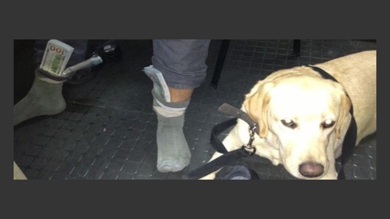 Laika encontró dólares en las medias.