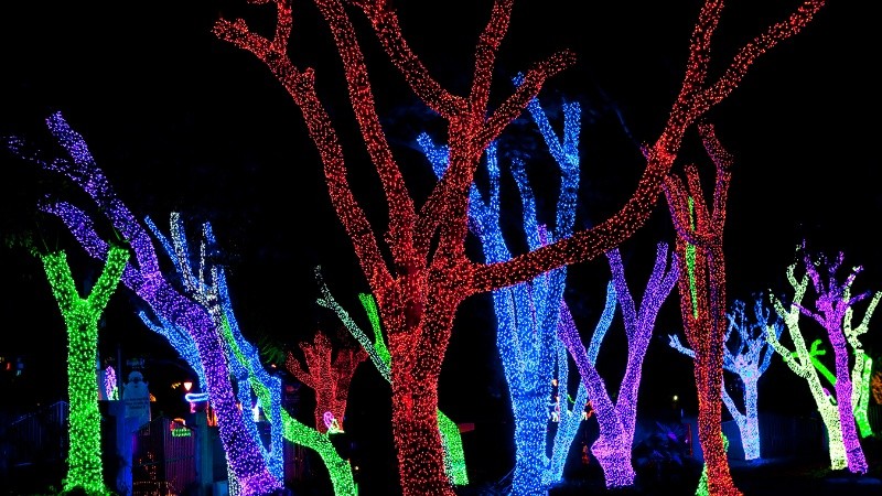 El público asiste a la segunda versión de 