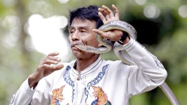 Sein Tin, de 60 años, manipula una serpiente a su manera.