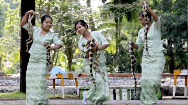 Bailar con serpientes. Uno de los atractivos del Zoo del país asiático.