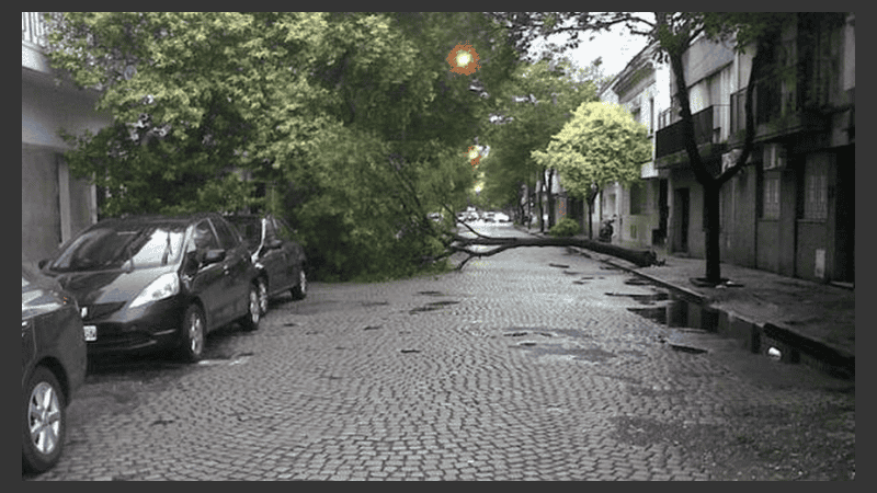 Lo que el paso de la tormenta dejó en las calles de Rosario | Rosario3