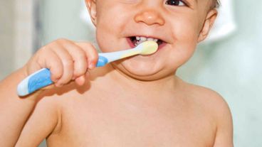 El cepillo se reserva para cuando haya dientes y habrá que tener en cuenta que el dentífrico no deberá utilizarse hasta que el niño haya cumplido los 2 años.