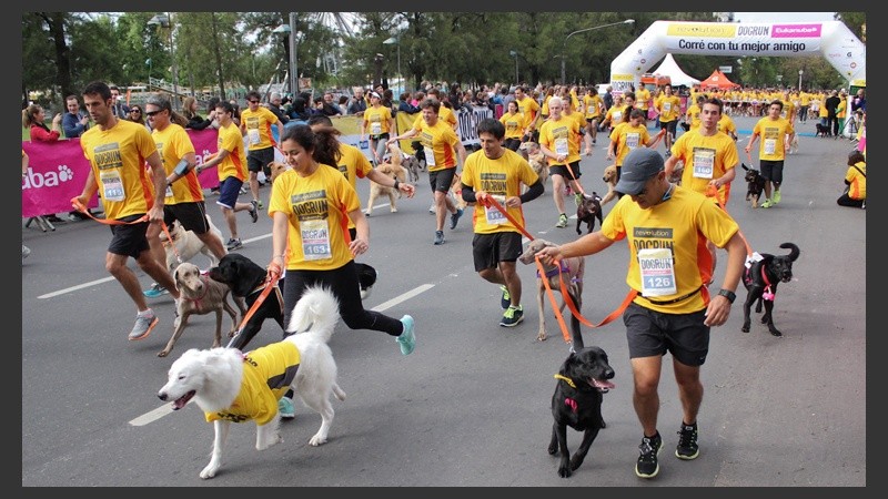 Carrera de perros en el Parque Independencia.