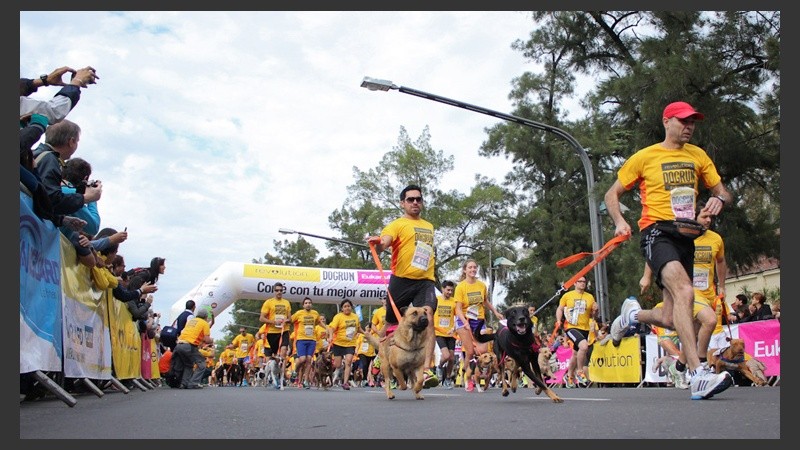 Carrera de perros en el Parque Independencia.