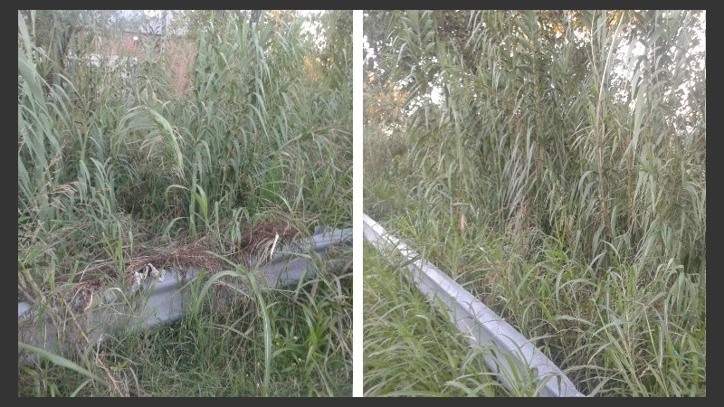 Yuyos altos, basural a cielo abierto, falta de alumbrado y playa de estacionamiento.