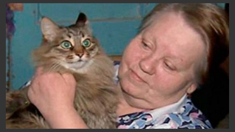 El gato callejero que protegió al bebé.