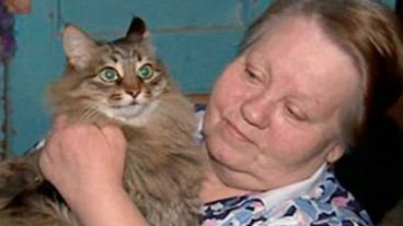 El gato callejero que protegió al bebé.