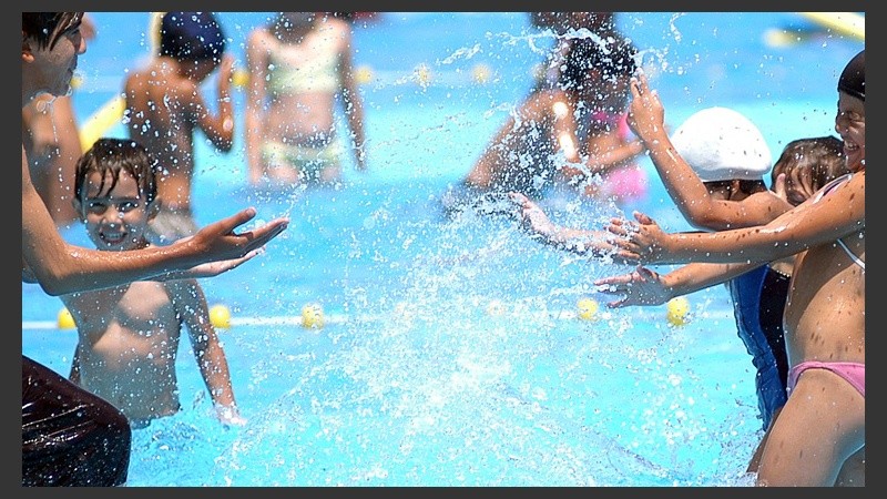 Los parásitos son muy resistentes a las dosis de cloro y traspasan los filtros que se utilizan convencionalmente en las piletas.