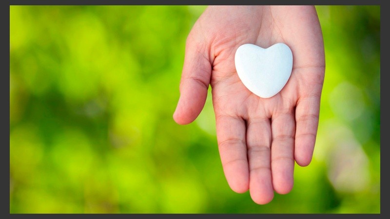 Los ciudadanos mayores de 18 años pueden anotarse como donantes ingresando al Registro Nacional de Donantes del país (ReNaDon). 