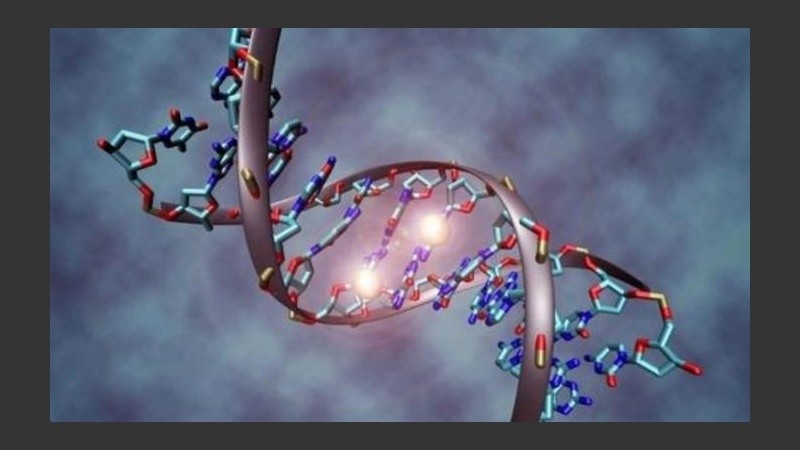 El testo, de bajo costo, da resultado en una hora.