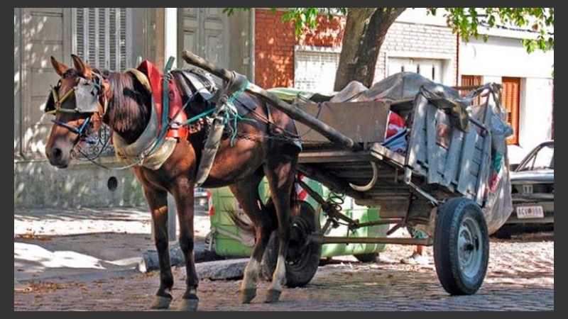 El programa impulsará el cumplimiento de una ordenanza municipal de hace cuatro años.