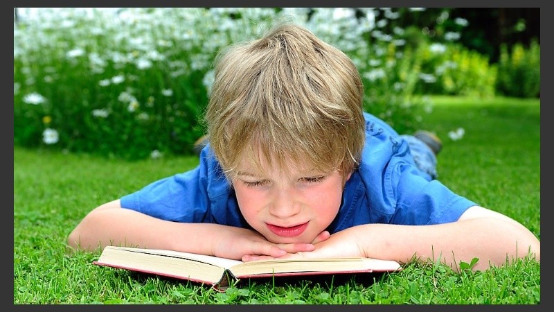 La utilidad de la investigación se centra en entender lo que sucede en el cerebro cuando unas personas enseñan a otras.