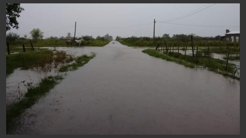 La situación en Recreo. 