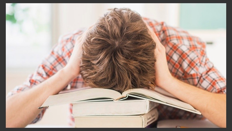 Cuanto más temprano empiezan a estudiar, peor performance escolar. .