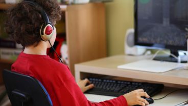 Si se dispone de recursos tecnológicos, se recomienda incorporar videojuegos educativos en el plan de estudios.
