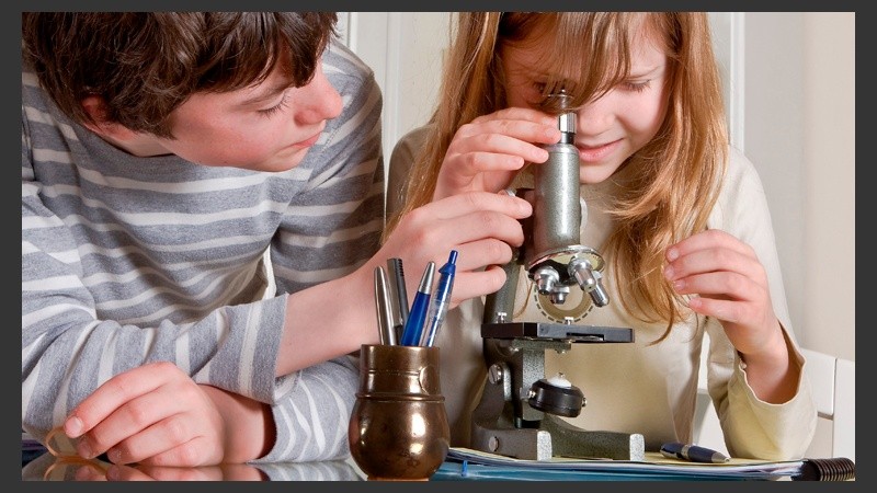 Si la propuesta de enseñanza de las ciencias es atractiva los chicos enseguida se entusiasman.