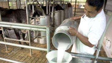 Amaro: "Hace 30 meses que el productor viene perdiendo dinero".