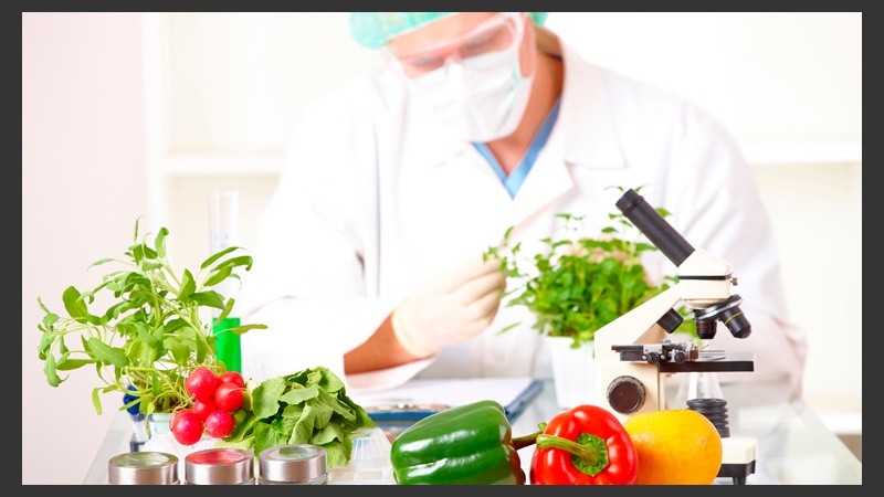 La carrera está orientada al área de investigación teórica y aplicada en el campo de los alimentos.