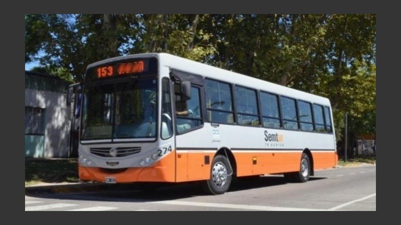 La mitad de la flota estará adaptada para personas con movilidad reducida.