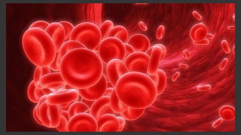 La hemofilia es una enfermedad genética que afecta la coagulación de la sangre.