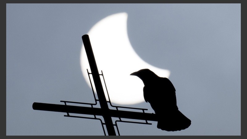 Vista del eclipse solar parcial tomada desde Visselhoevede (Alemania).