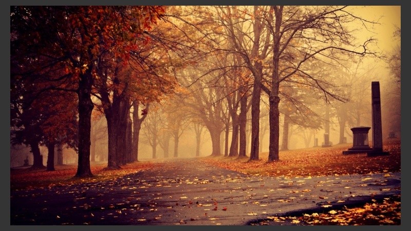 El otoño ya está entre nosotros.