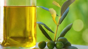 El aceite prohibido no cumple con el perfil graso del aceite de oliva.