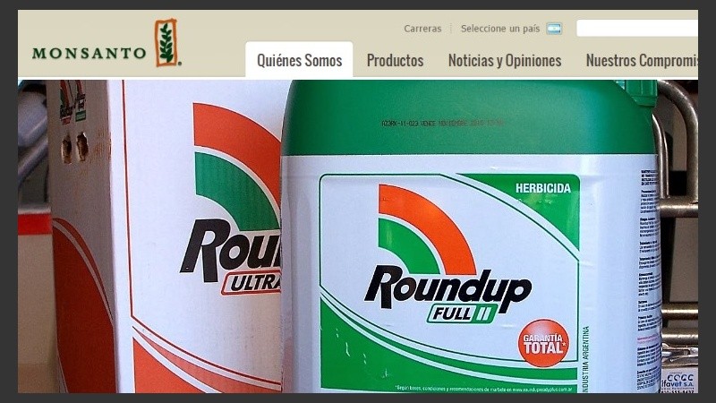 El glifosato, principio activo del herbicida Roundup de Monsanto, en la mira.