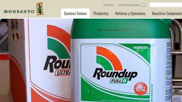 El glifosato, principio activo del herbicida Roundup de Monsanto, en la mira.
