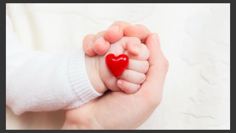 La ecocardiografía fetal consiste en el método más idóneo para diagnosticar una cardiopatía congénita.