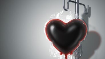 Donar sangre es una tendencia que crece y se consolida en los sistemas de salud más avanzados del mundo.