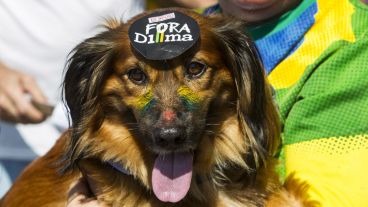 Un perro con un adhesivo que dice "Fuera Dilma".